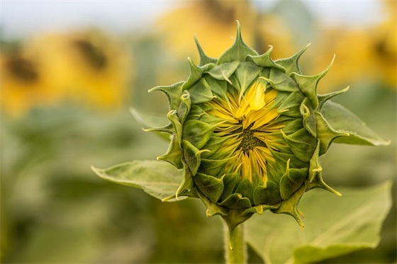 班级口号初中86句