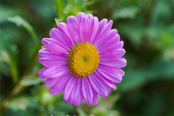 交通安全类标语 交通安全标语