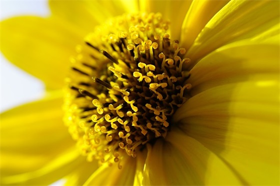 秋季运动会口号霸气押韵