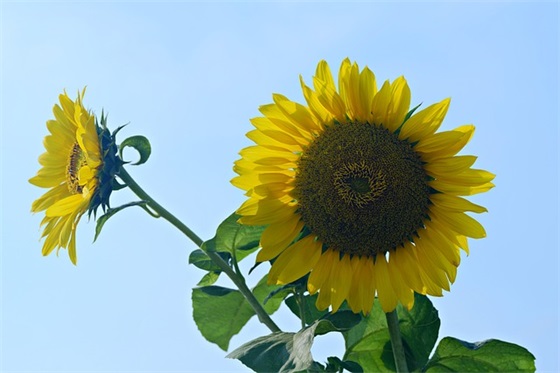 初三跑操口号霸气押韵83句 初三跑操口号霸气押韵83句