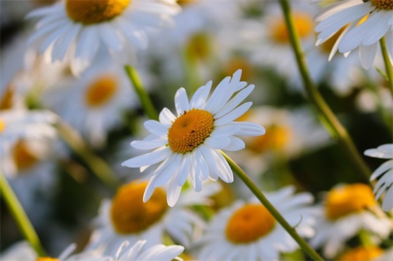 2026五一节假日送客户、朋友、同事的祝福短信