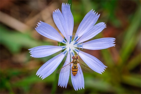 优美的感恩节祝福短信