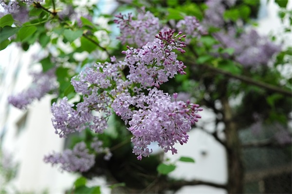 新学期对孩子的期望和祝福语