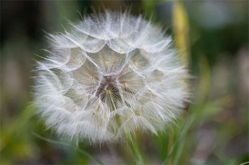 2026孩子们的新年祝福语句子最新
