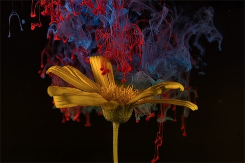 好友生日的祝福赠言