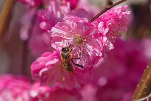 高级有质感的句子文案