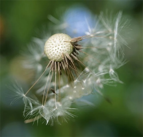 烤鱼的口号82句