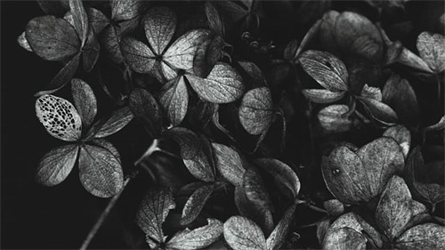 联通企业文化口号85句