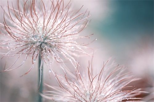 饭堂食品安全标语69句