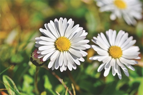 体操口号霸气75句