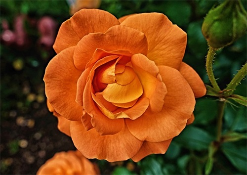 有关开车的祝福语53句