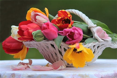 个性生日快乐祝福语 生日快乐祝福语闺蜜