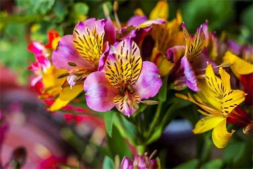 霸气服务口号87句