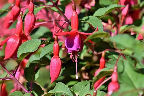 2025光盘行动标语经典用语大全 2025光盘行动标语经典用语大全