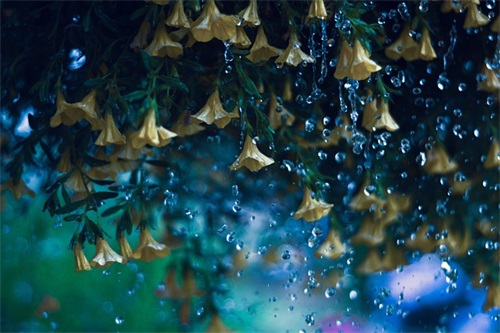 教师标语 幼儿园教师标语 教师标语 幼儿园教师标语