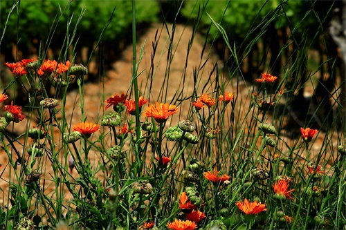 形容聚会特别开心的句子