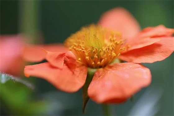 解脱后的轻松心情句子 释放心情解脱的句子