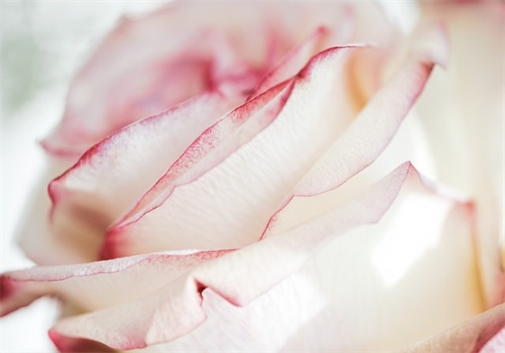 六弄咖啡馆句子17句