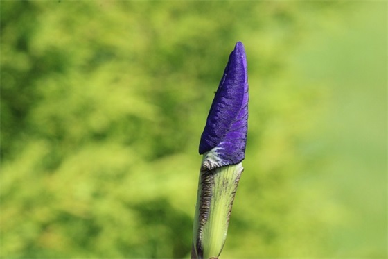 对初三的祝福语30句