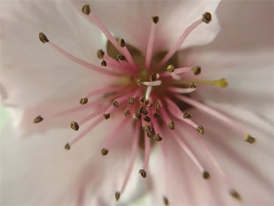 乔迁大喜的祝福语 搬家的祝福语字精选