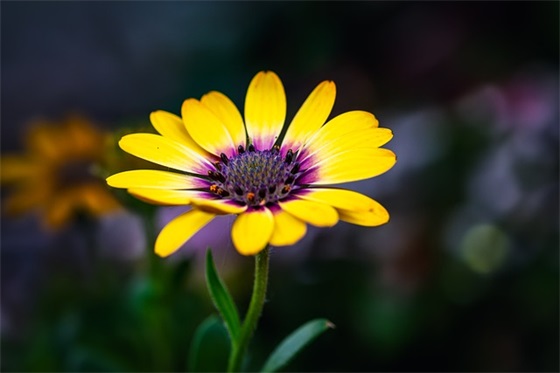 光棍节给朋友的祝福语 送给朋友的祝福语