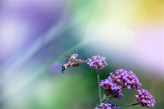 下雪天的问候祝福语
