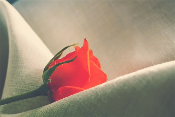 年会同事祝福语