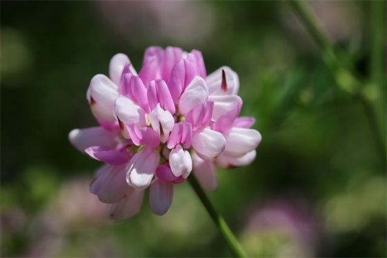 店铺开业祝福词 新店开业祝福词