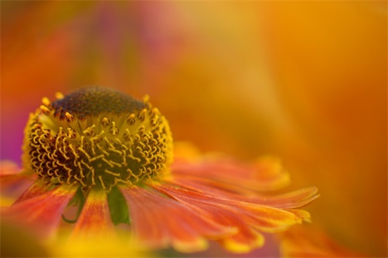 简洁长辈70岁生日祝福语简短独特精选