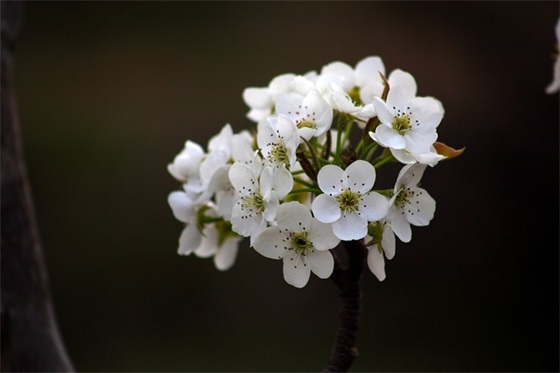 平安顺利祝福语26句