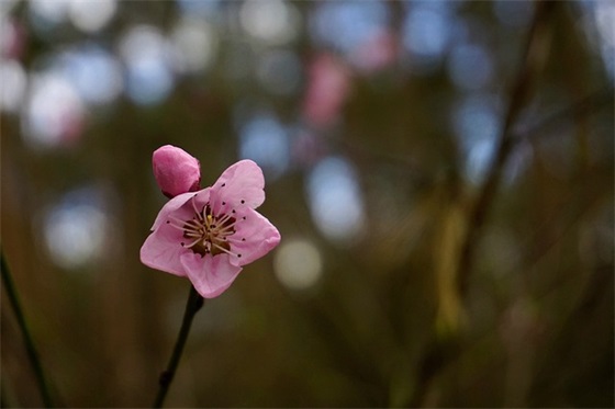 祝老板生意好的祝福语
