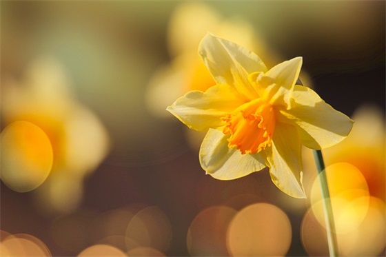 哥嫂结婚祝福语