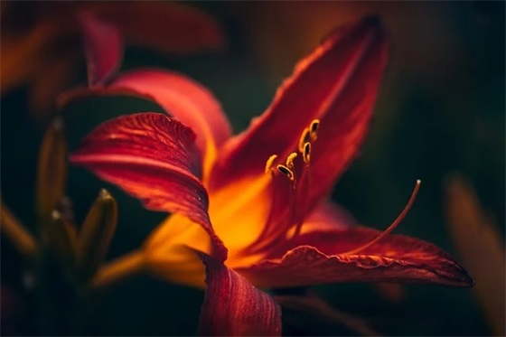 教师节幽默祝福语