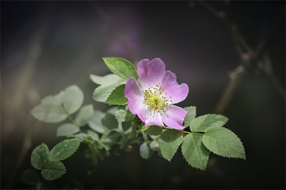 祝福别人生孩子的话 恭喜生女儿的祝福语