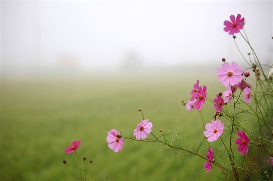 公司乔迁说什么祝福语