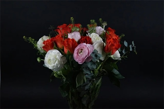 宝宝一岁相册祝福语39句