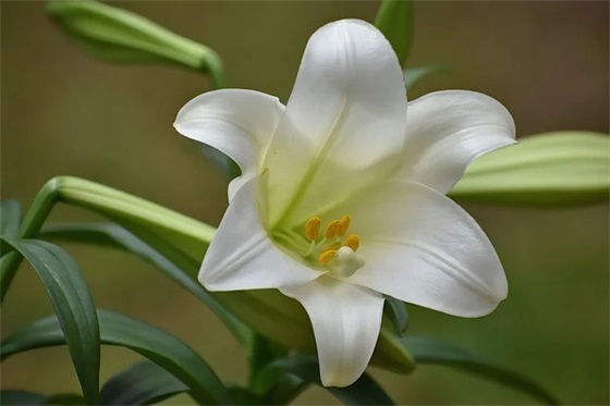 2026年小朋友祝福语大全30句