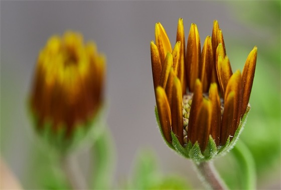 马拉松赛道标语