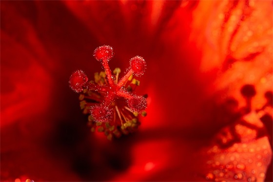 班级外出游玩的口号62句