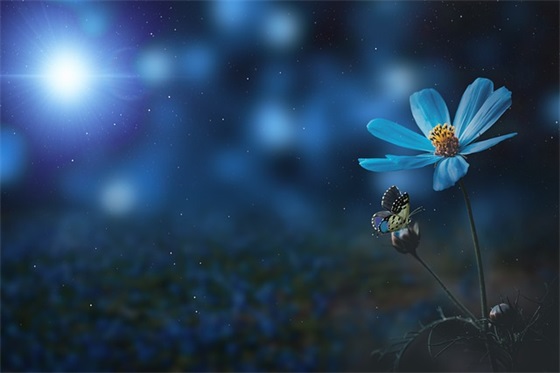 小学体育运动会口号