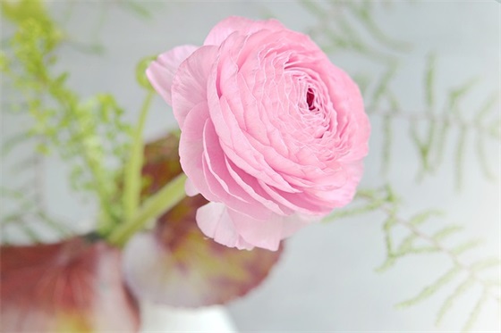 最新大学军训口号 大学军训口号16字有气势