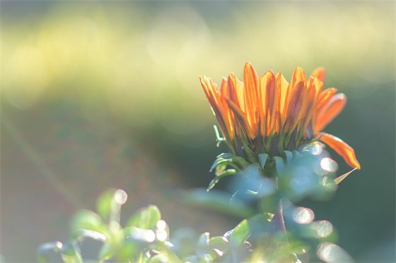 餐厅的宣传口号 餐厅口号