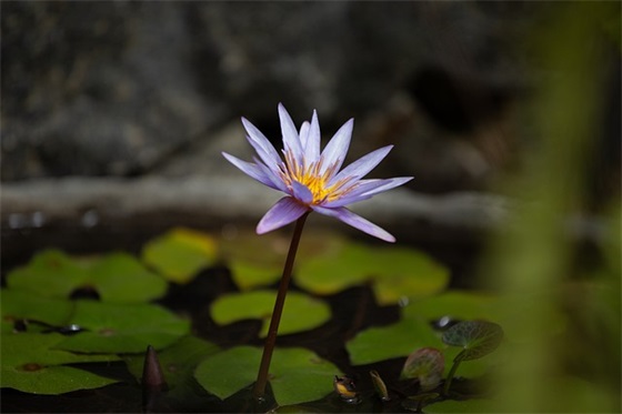 春季趣味运动会俏皮口号精选(趣味运动会的口号)