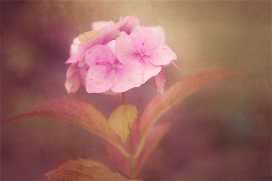 服务宣传口号 服务宣传口号