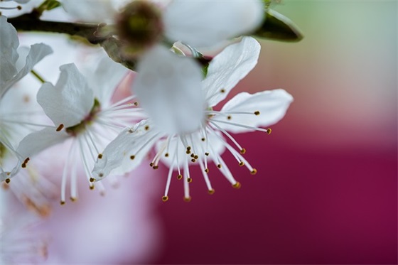 精选的运动会方阵口号大全(霸气的运动会方阵口号)