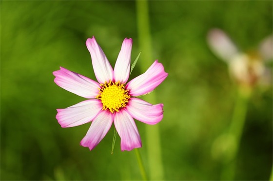 文明餐桌光盘行动标语口号2026