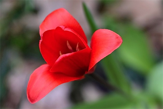 护士暖心服务标语大全