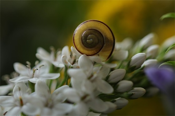 精选的宿舍标语大全 宿舍标语大全简短