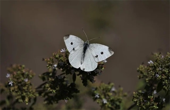 博物馆宣传语口号61句