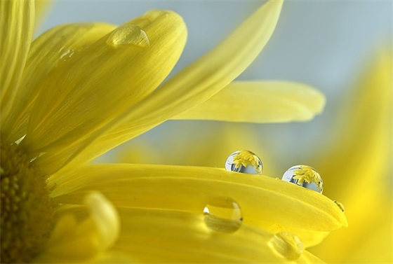 博物馆宣传口号55句